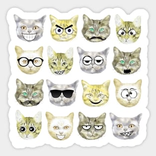 Funny cat faces Sticker